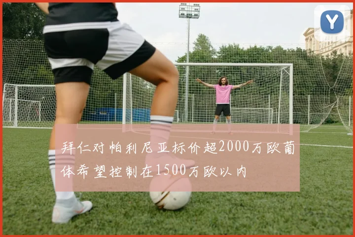拜仁对帕利尼亚标价超2000万欧葡体希望控制在1500万欧以内