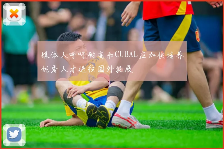 媒体人呼吁耐高和CUBAL应加快培养优秀人才送往国外发展
